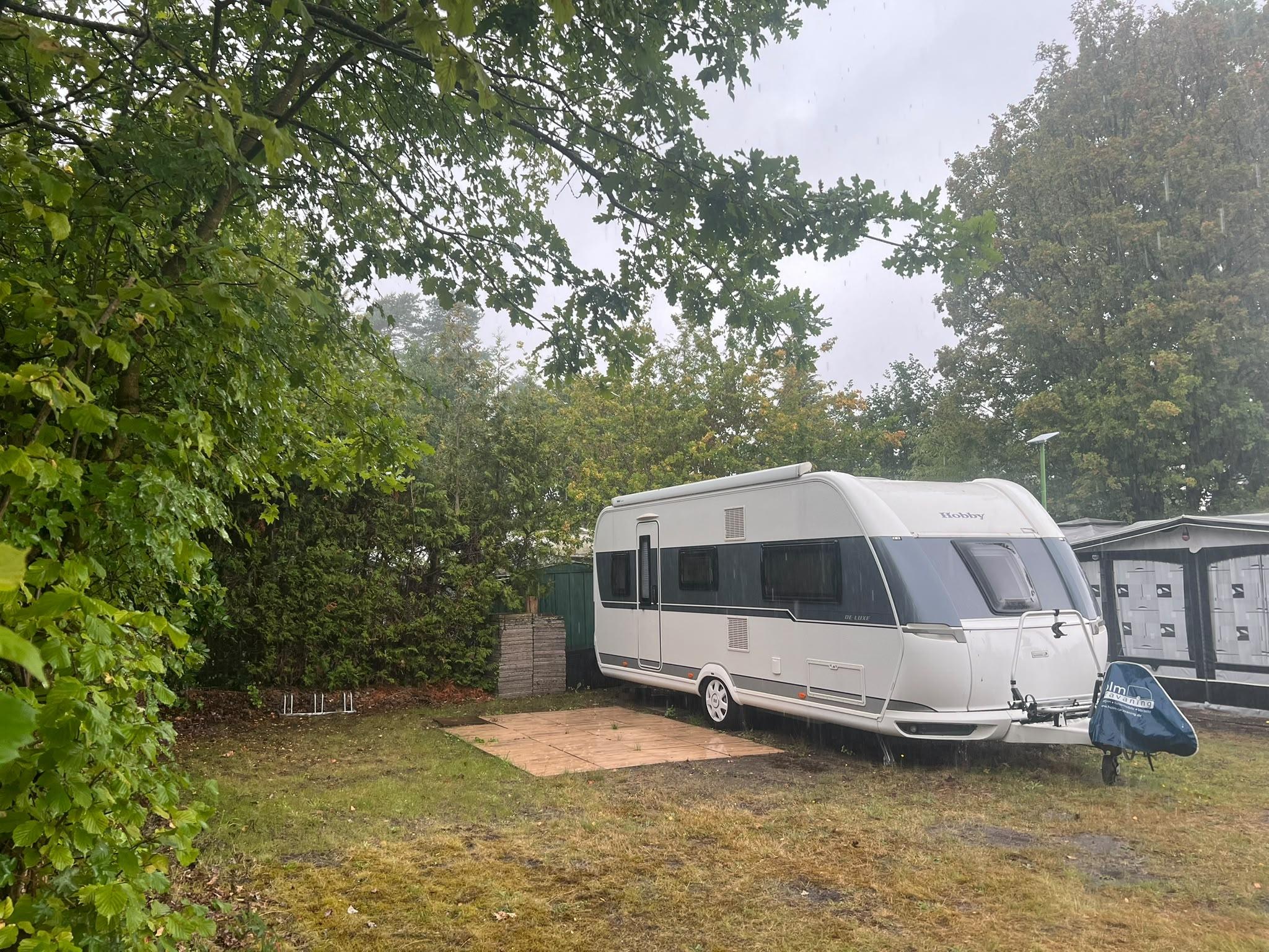 205 | Rosencamp