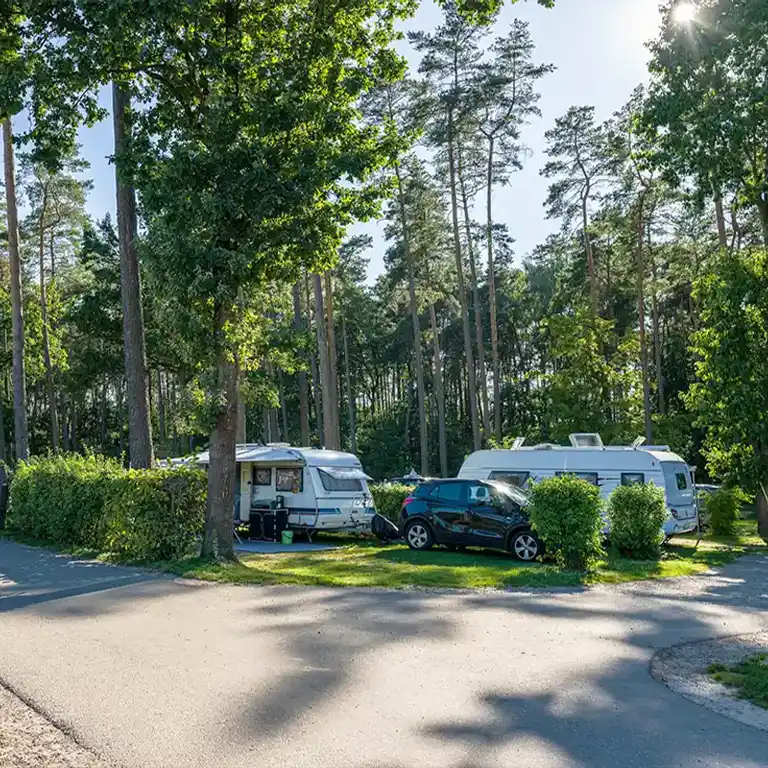 Our camping areas in the Südsee-Camp